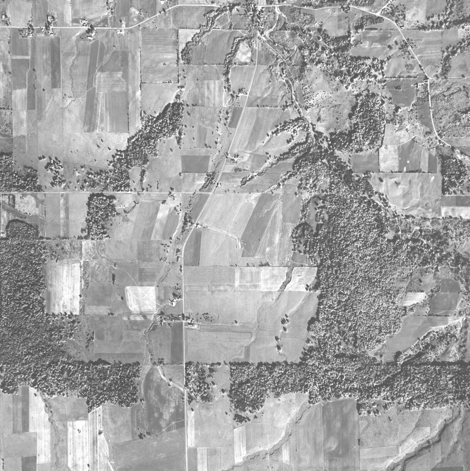 1951 aerial survey sheet covering the wider Collins / North Collins area.
