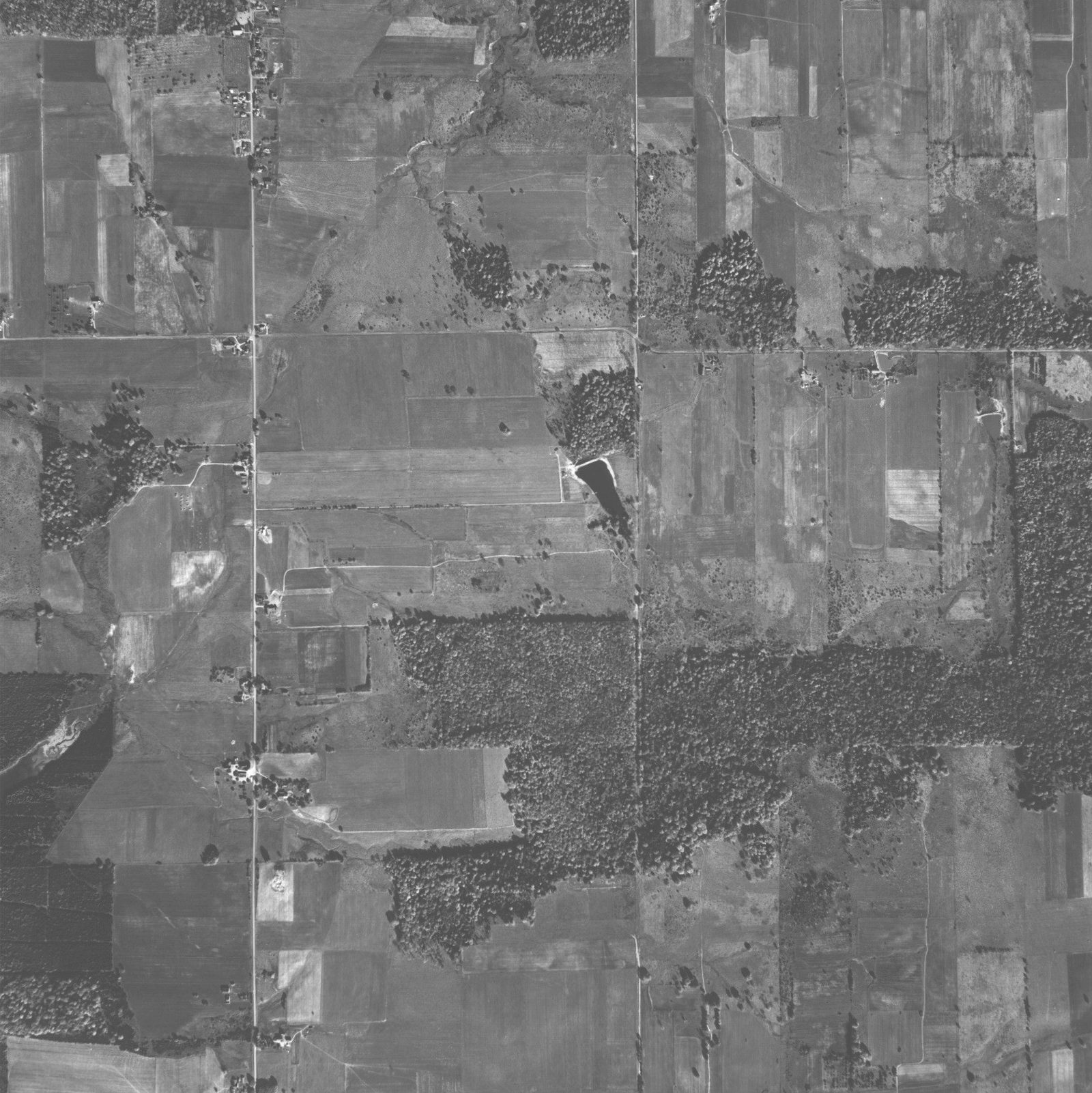 1951 aerial survey sheet, adjoining section.